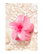 Flower Dream Clips