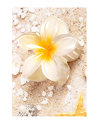 Flower Dream Clips