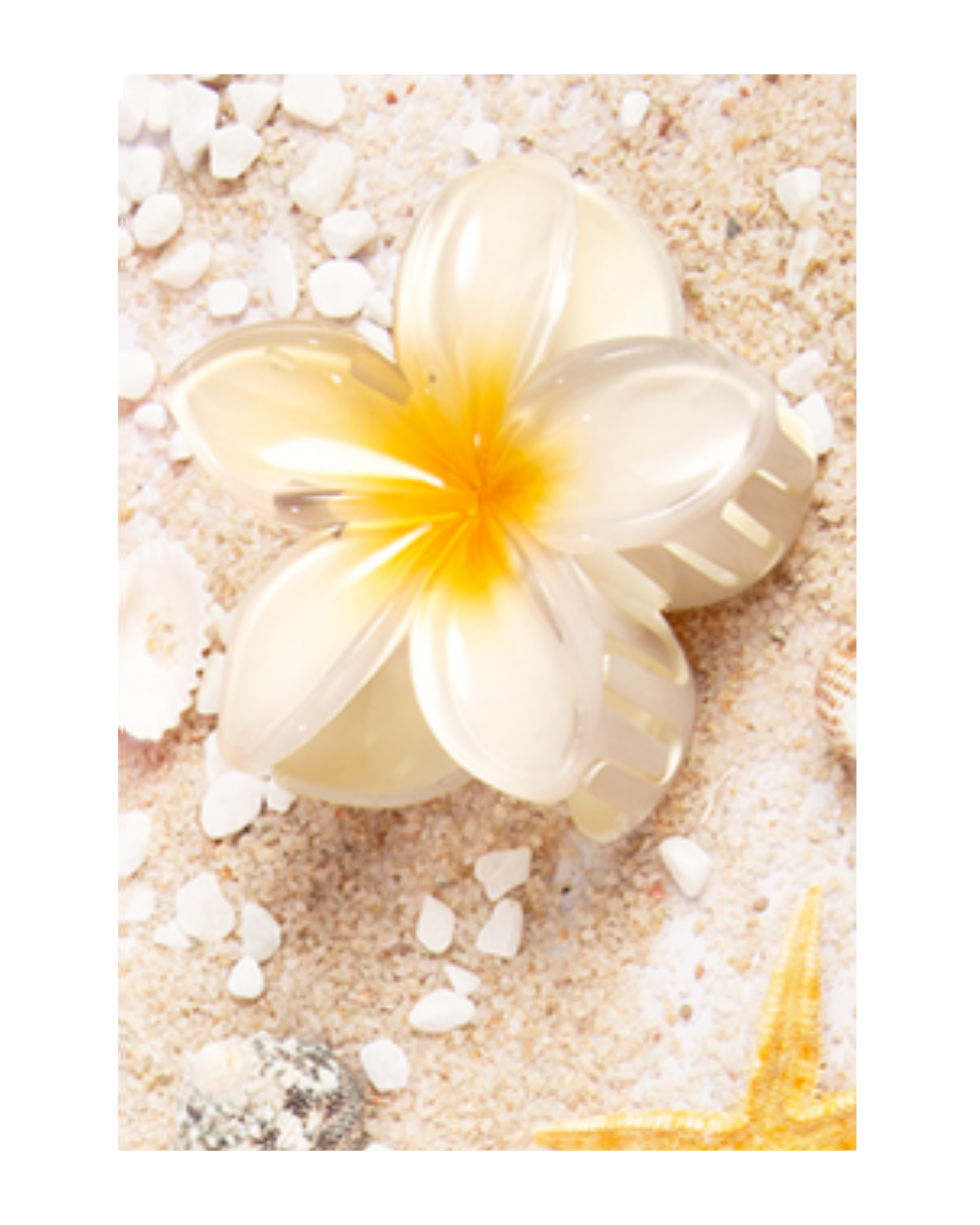 Flower Dream Clips