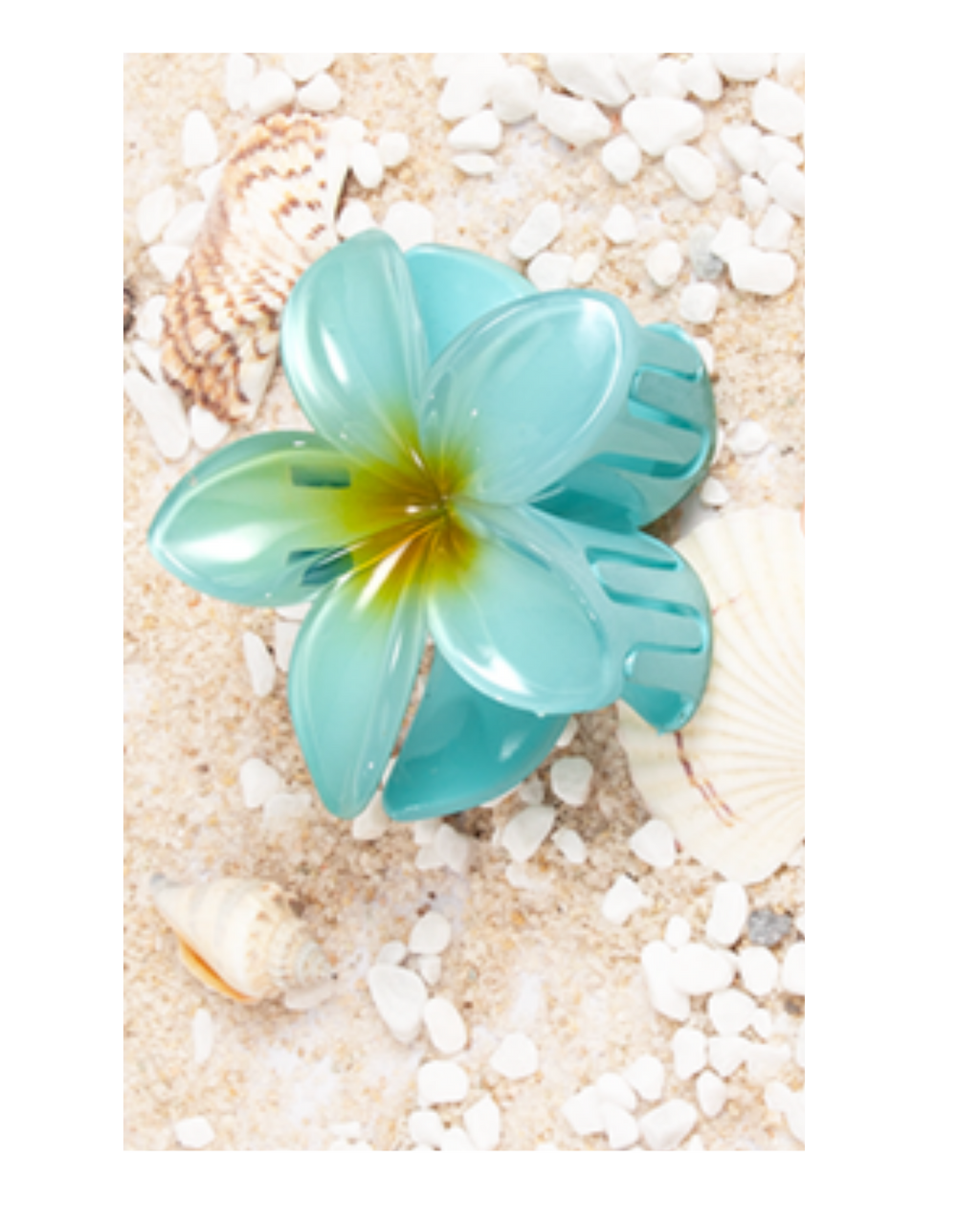 Flower Dream Clips