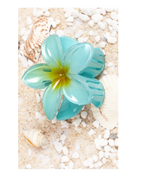 Flower Dream Clips