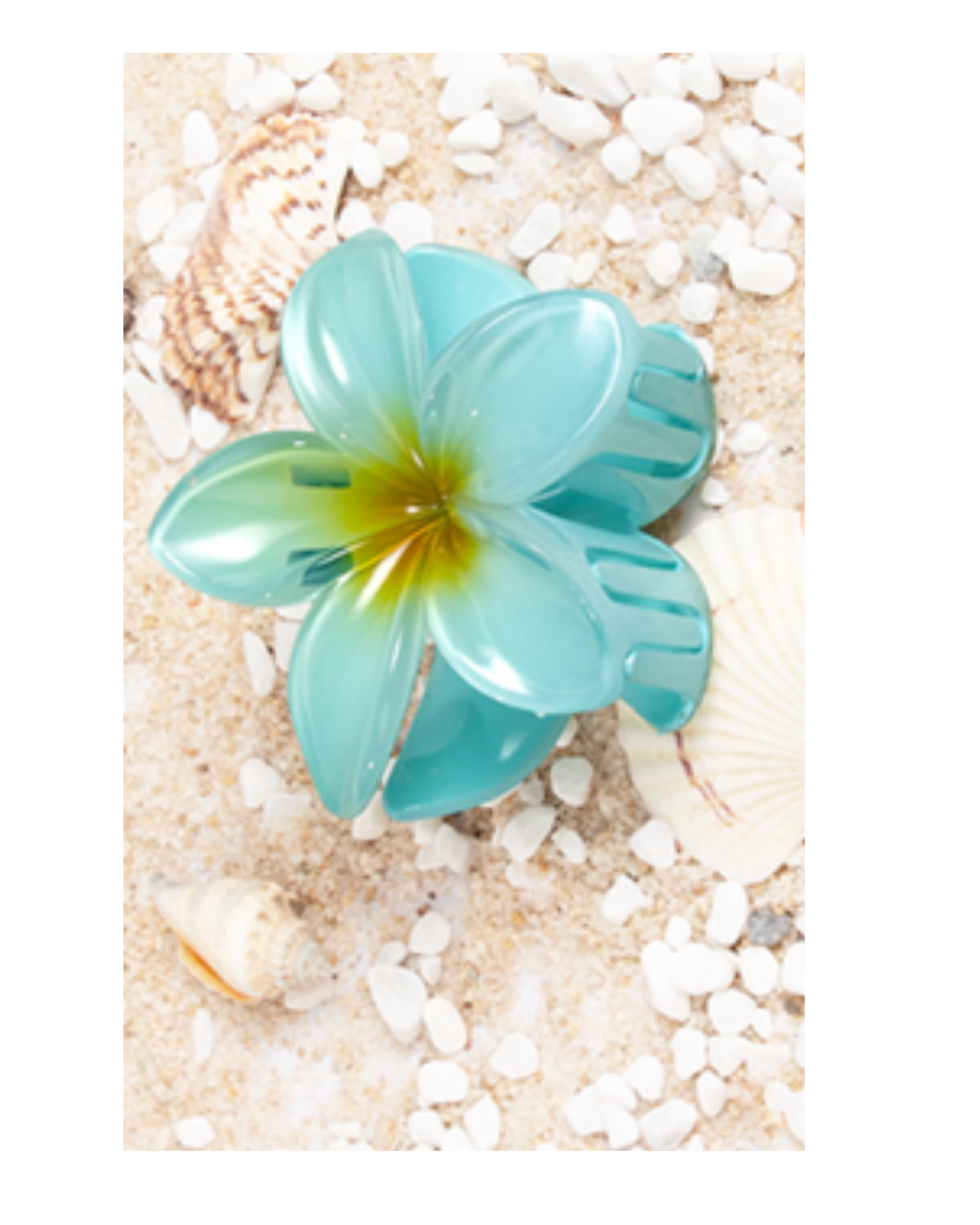 Flower Dream Clips