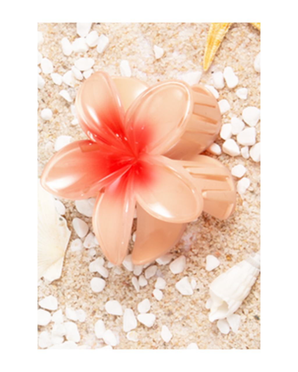 Flower Dream Clips