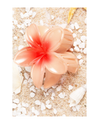 Flower Dream Clips