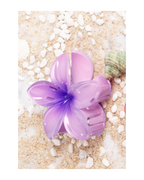 Flower Dream Clips