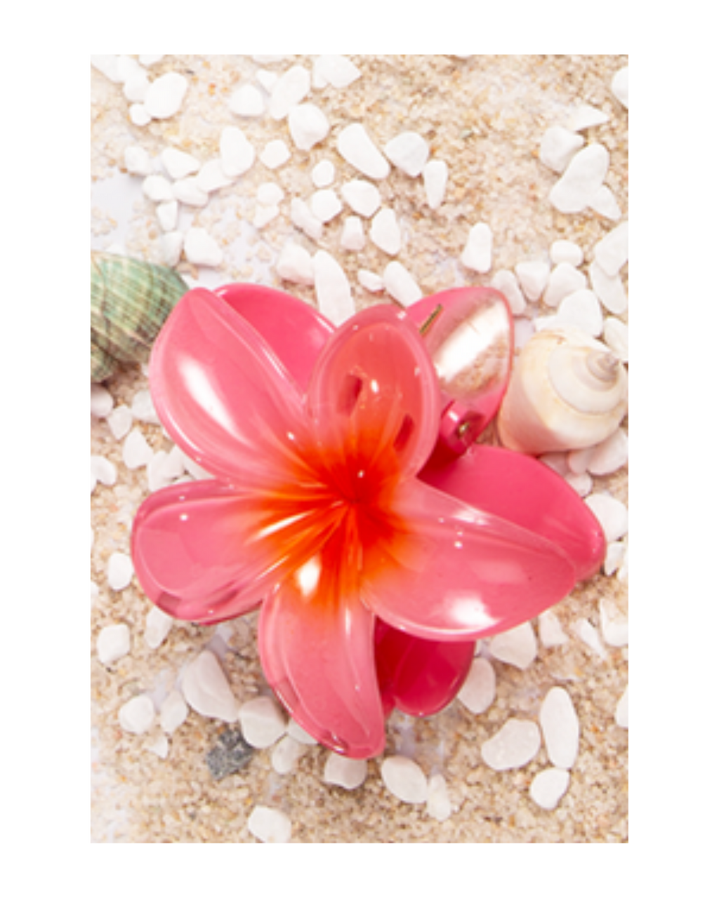 Flower Dream Clips