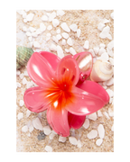 Flower Dream Clips