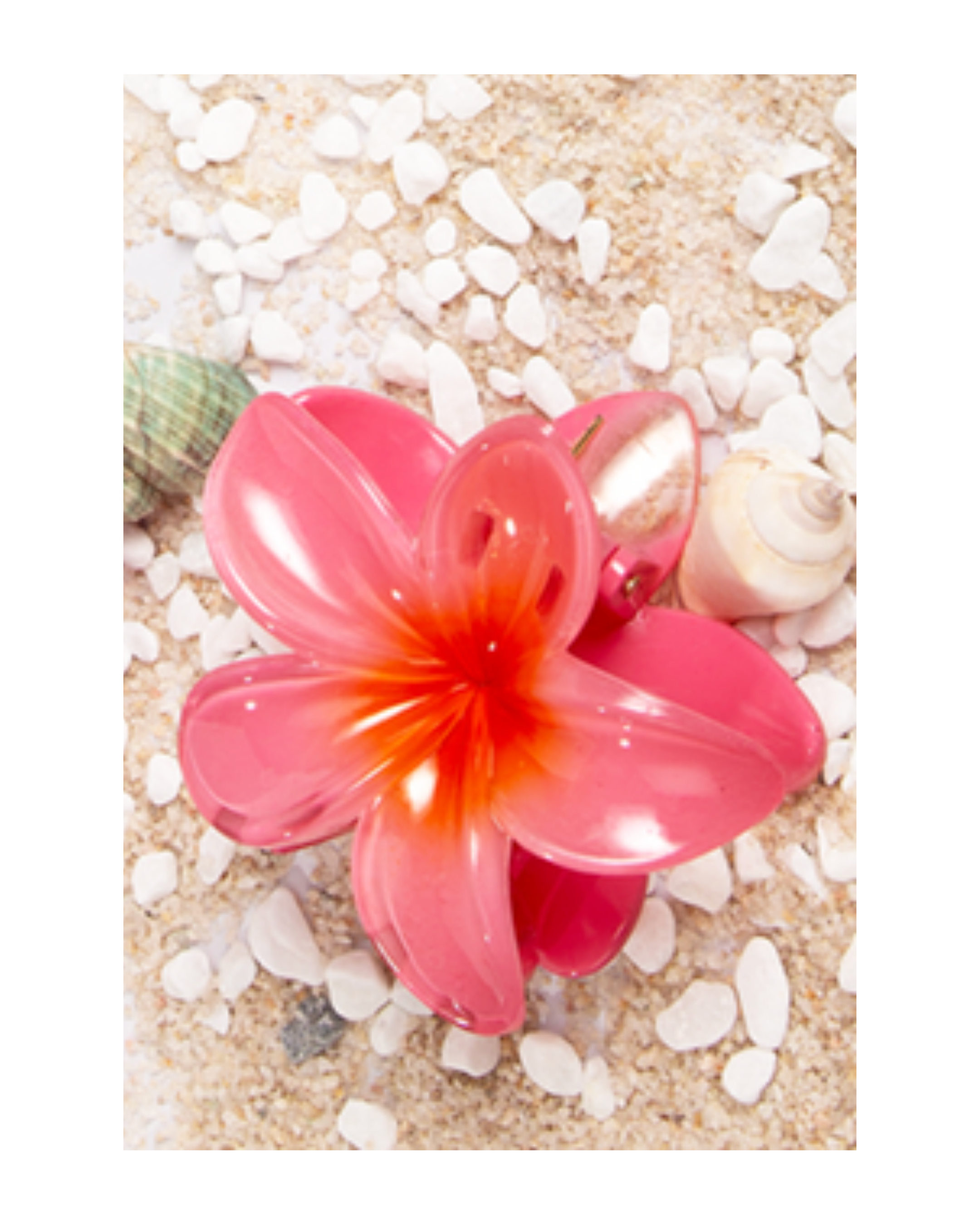 Flower Dream Clips