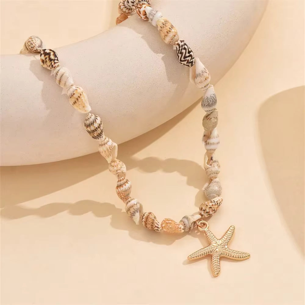 Sunlit Shells